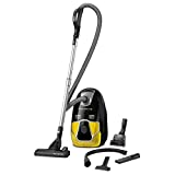 Rowenta, Aspirateur avec Sac, Puissant et Silencieux, 750 W, 4,5L, Accessoires Spécial Poils d'Animaux et Voiture, X-Trem Power² Home & Car RO6864EA