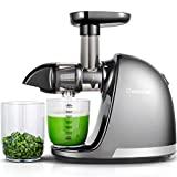 AMZCHEF Extracteur de Jus de Fruits et Légumes Sans BPA Slow Juicer Presse à Froid Machine avec moteur silencieux/tasse à jus/brosse de nettoyage/adapté à tous les Fruits et Légumes (Gris)