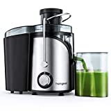 Centrifugeuse Extracteur de Jus, Homgeek 600W Centrifugeuse Fruits et Légumes, 2 Vitesses 65MM Large Bouche en Acier Inox, Sans BPA Pichet à Jus et Brosse de Nettoyage Incluse