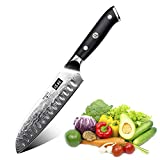 SHAN ZU Couteau de Damas de Santoku en Acier Damas Japonais 67 Couche Acier Couteaux de Cuisine - PRO Series